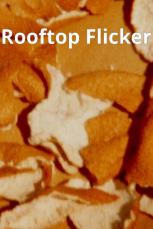 Plakat: Rooftop Flicker