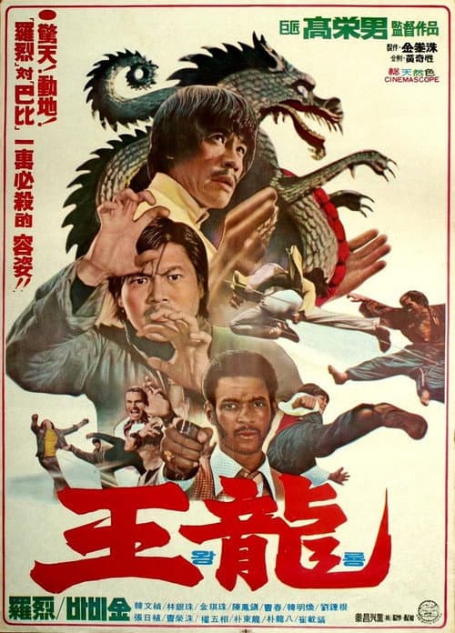 Plakat: Deadly Kick