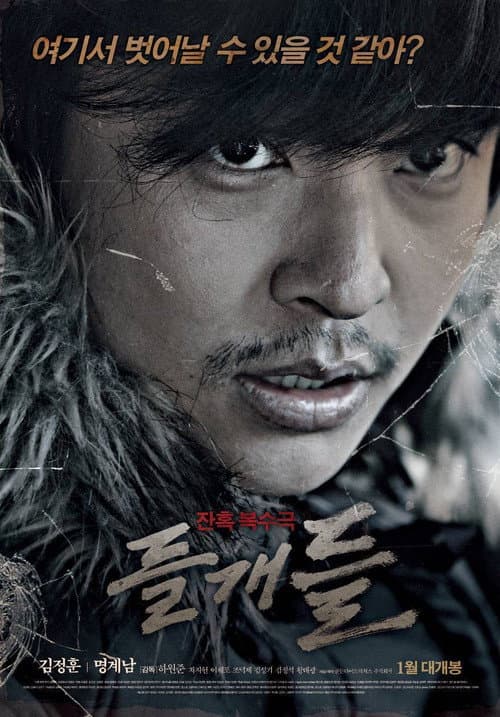 Plakat: Stray Dogs