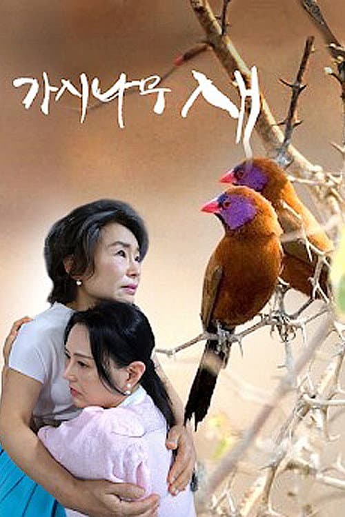 Plakat: 가시나무새
