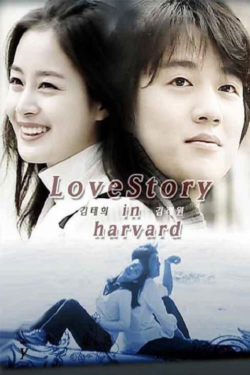 Plakat: Love Story in Harvard