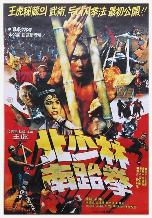 Plakat: North Shaolin South Taekwon
