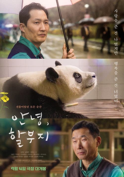 Plakat: My Dearest Fu Bao