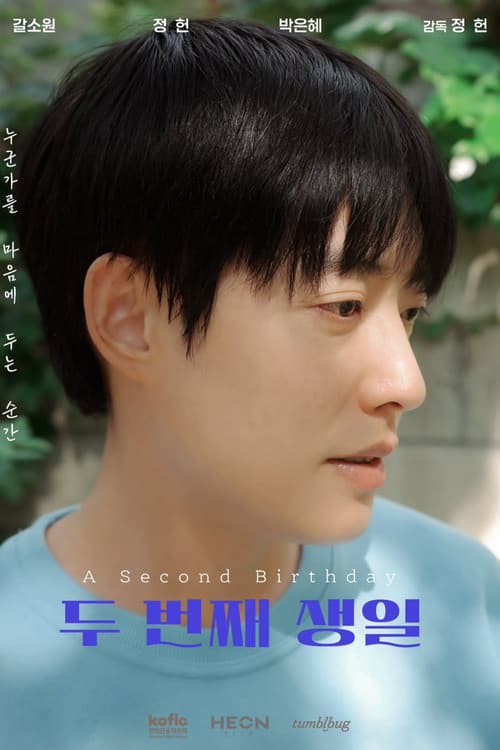 Plakat: A Second Birthday