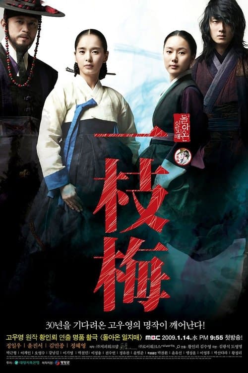 Plakat: The Return of Iljimae