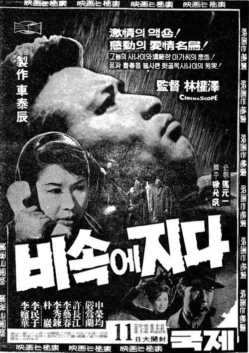 Plakat: Fading in the Rain