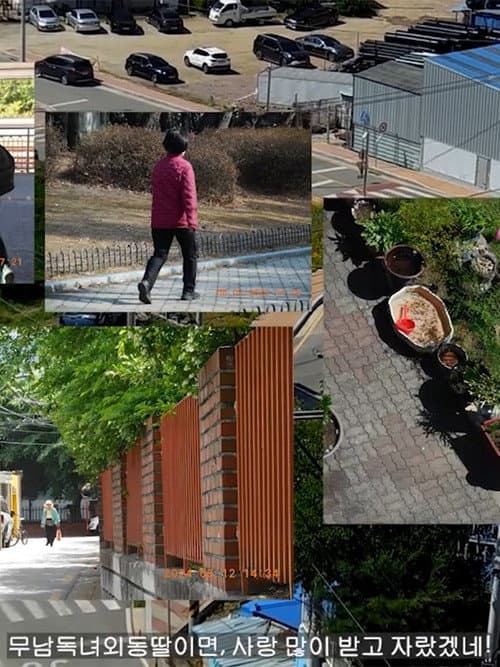 Plakat: Korea's Funniest Home Videos