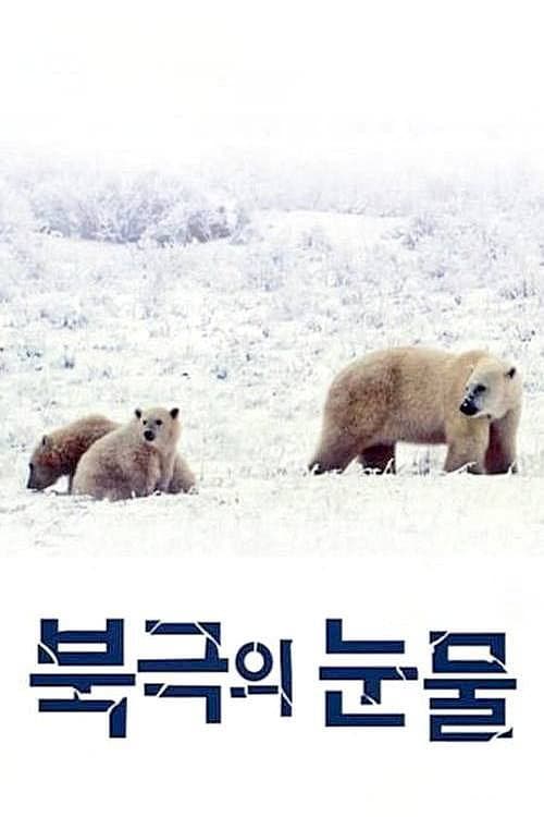 Plakat: Tears in the Arctic