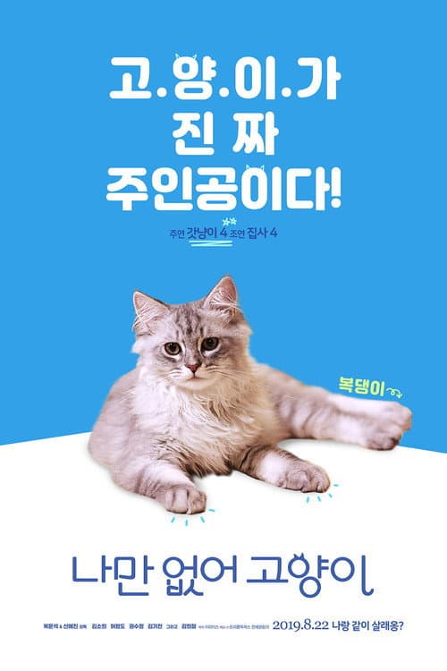 Plakat: Hello, My Cat
