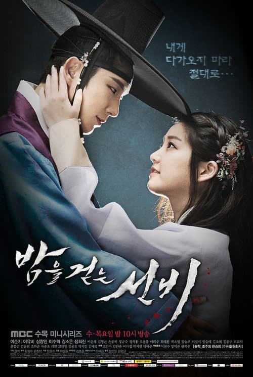 Plakat: The Scholar Who Walks the Night