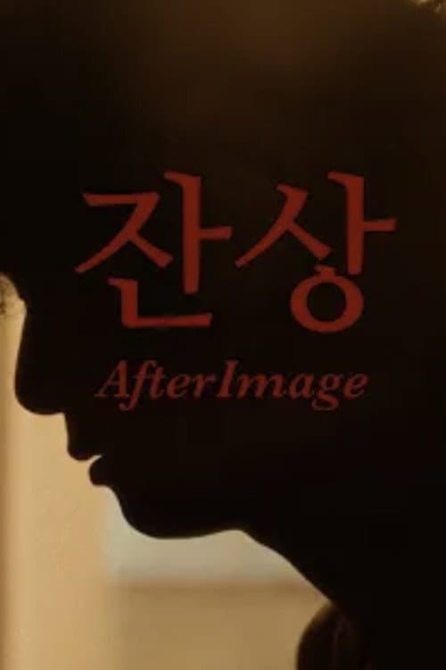 Plakat: AfterImage