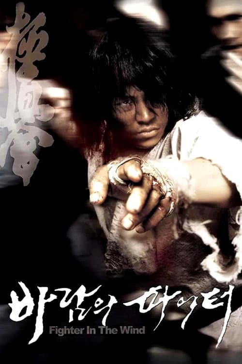 Plakat: Fighter In The Wind