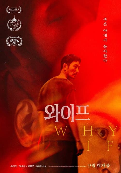 Plakat: WHY, IF