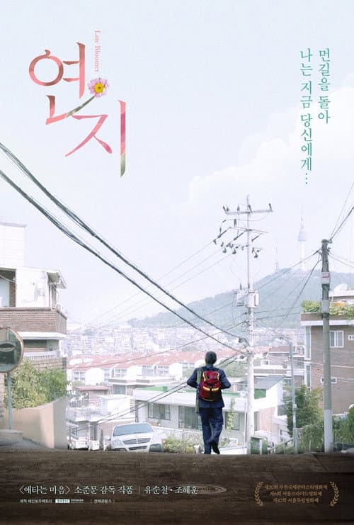 Plakat: Late Bloomer