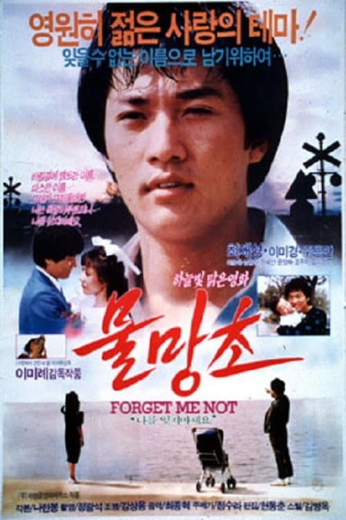 Plakat: Forget-me-nots