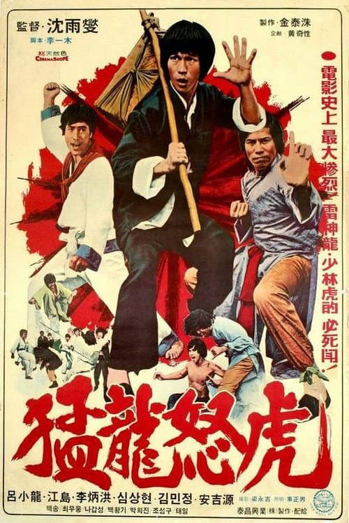 Plakat: Bruce and the Dragon Fist