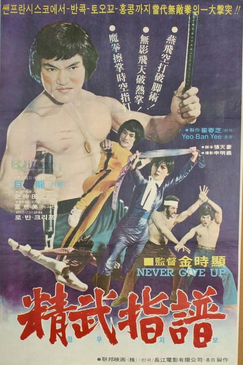 Plakat: Kung Fu Fever