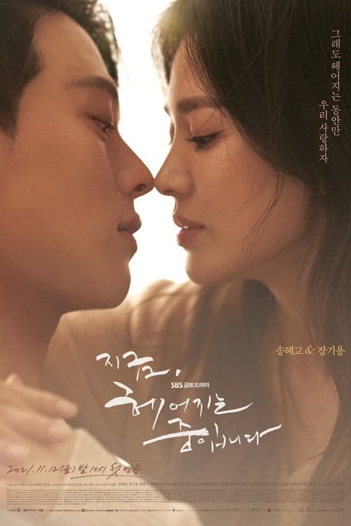 Plakat: Now, We Are Breaking Up