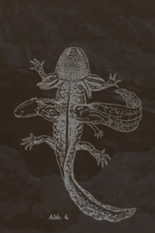 Plakat: The Axolotl Stories-encounter