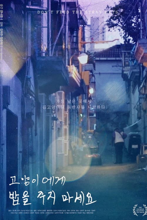 Plakat: Don't Feed the Stray Cats