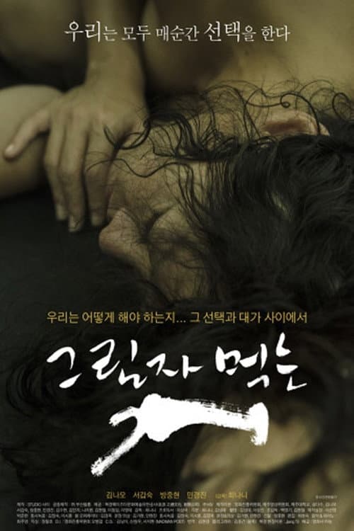 Plakat: The Dog Eating Up Shadows