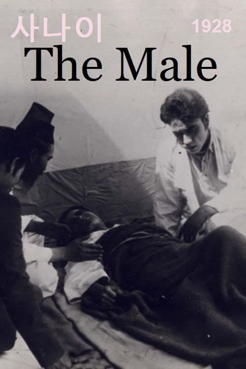 Plakat: The Male