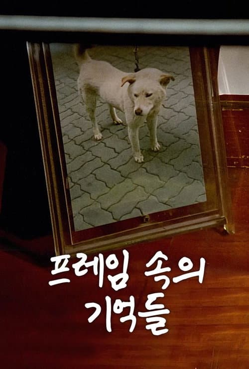Plakat: The Memories in My Frame