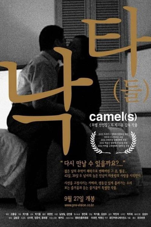 Plakat: Camel(s)