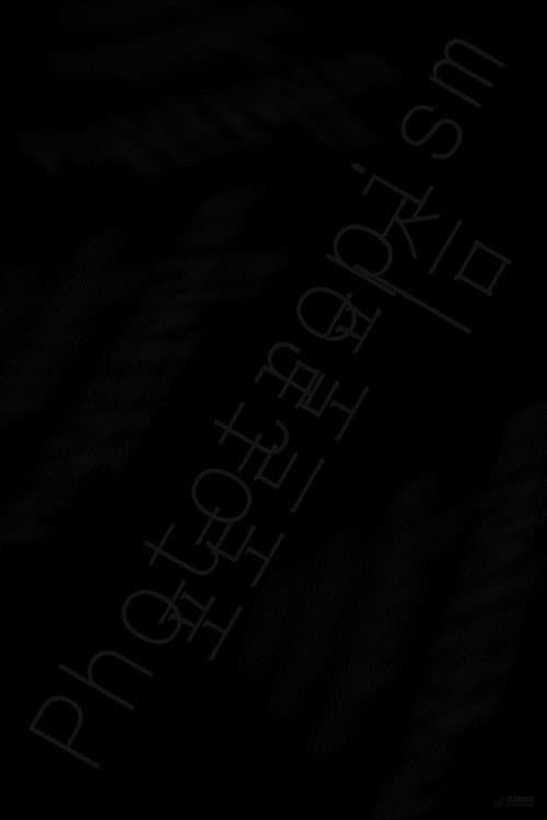 Plakat: Phototropism