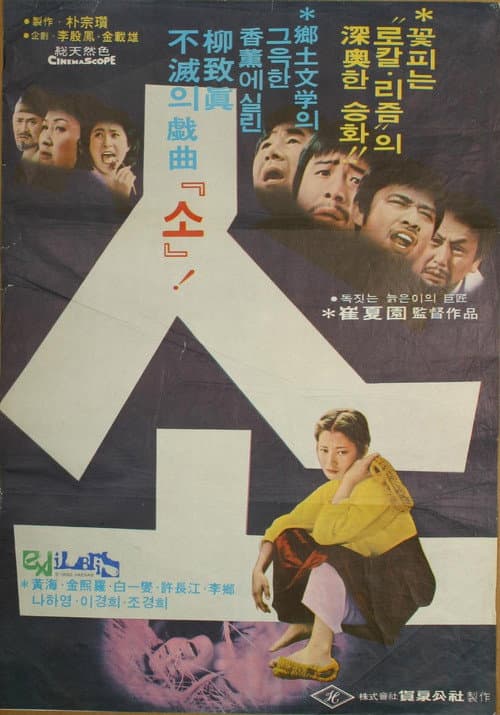 Plakat: Cattle
