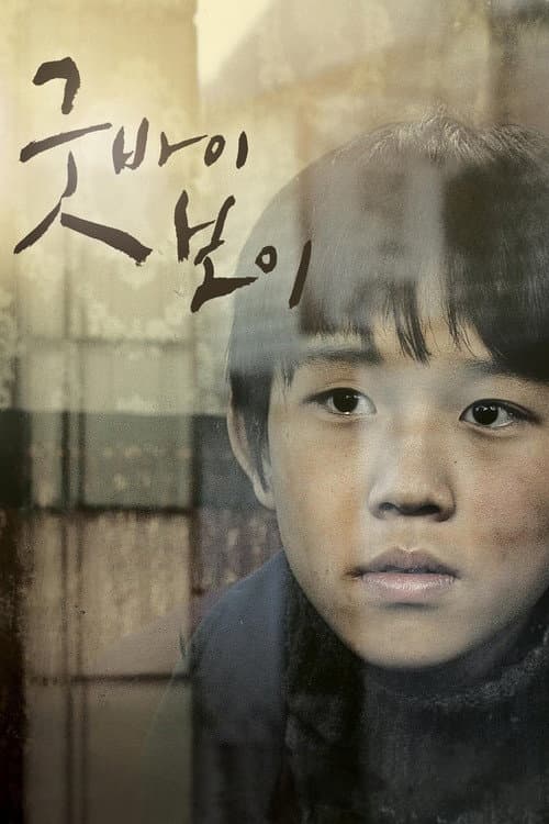 Plakat: Boy