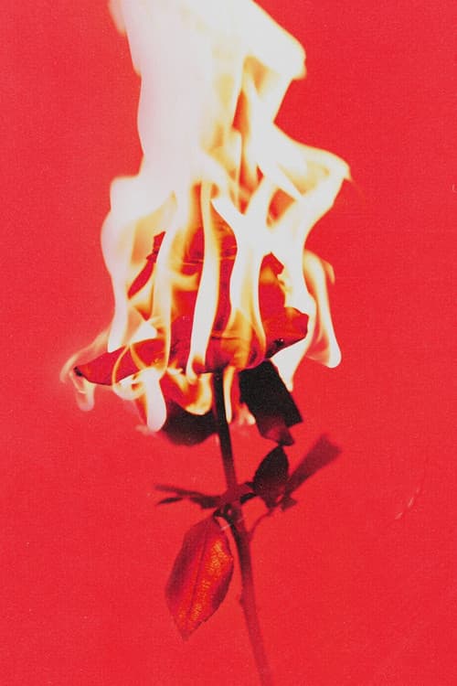 Plakat: Love or Loved Part.1 Official Live Clip