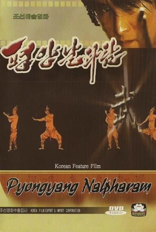 Plakat: Pyongyang Nalpharam