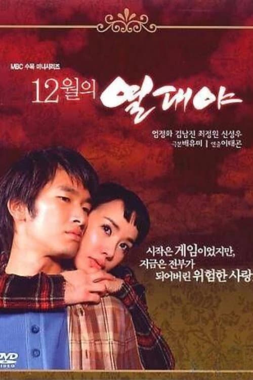 Plakat: December Fever