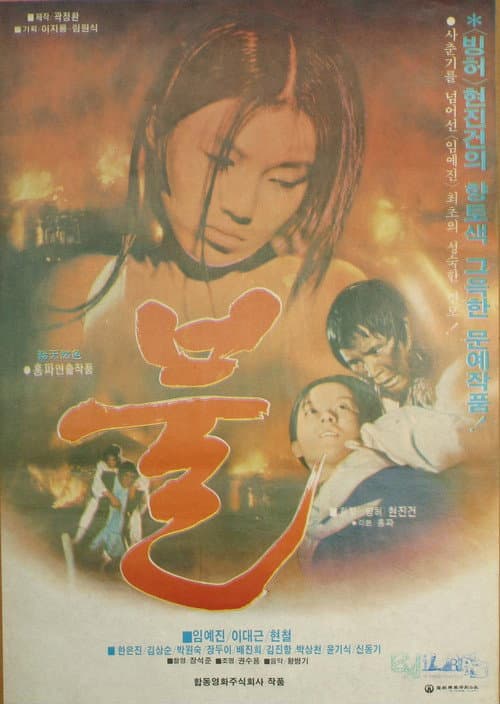 Plakat: Fire