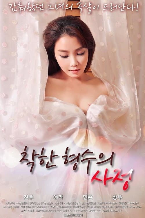 Plakat: 착한 형수의 사정