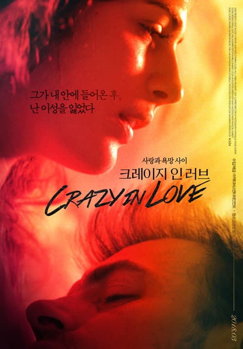 Plakat: Crazy in Love