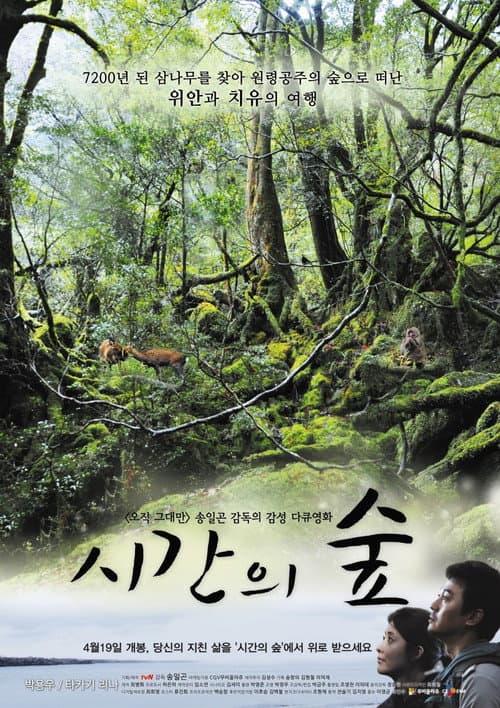 Plakat: Forest of Time