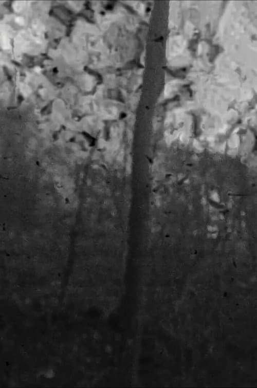 Plakat: Trees on Sand