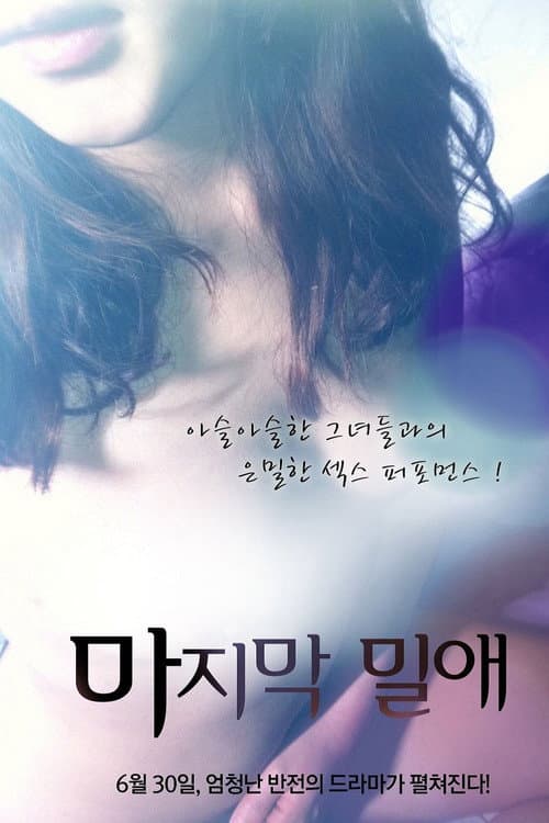 Plakat: The Last Liaison