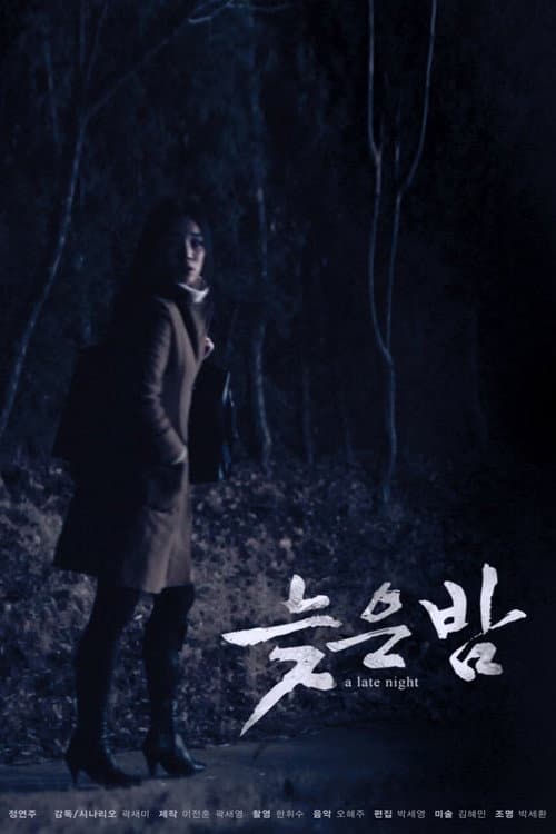 Plakat: A Late Night
