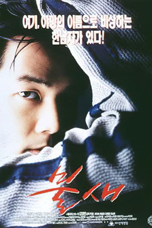 Plakat: Firebird