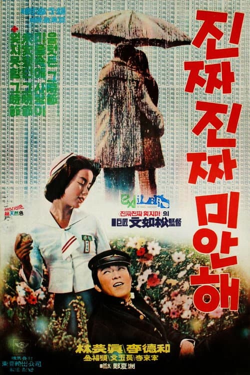Plakat: Really Sorry