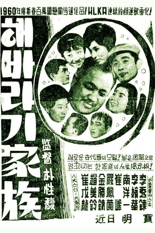 Plakat: A Sunflower Family