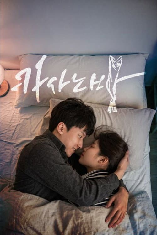 Plakat: 카사노바