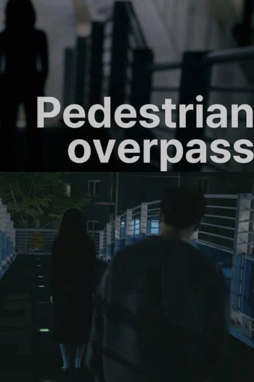 Plakat: Pedestrian overpass