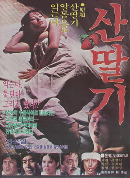 Plakat: Mountain Strawberries