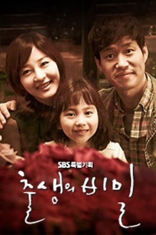 Plakat: Birth Secret