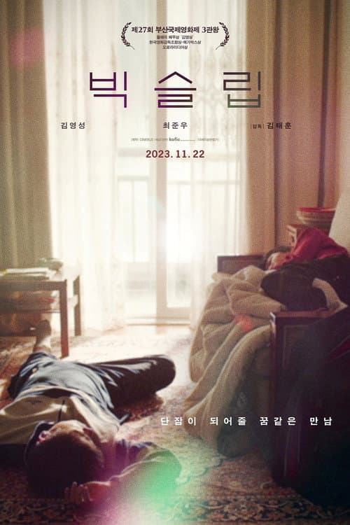 Plakat: Big Sleep