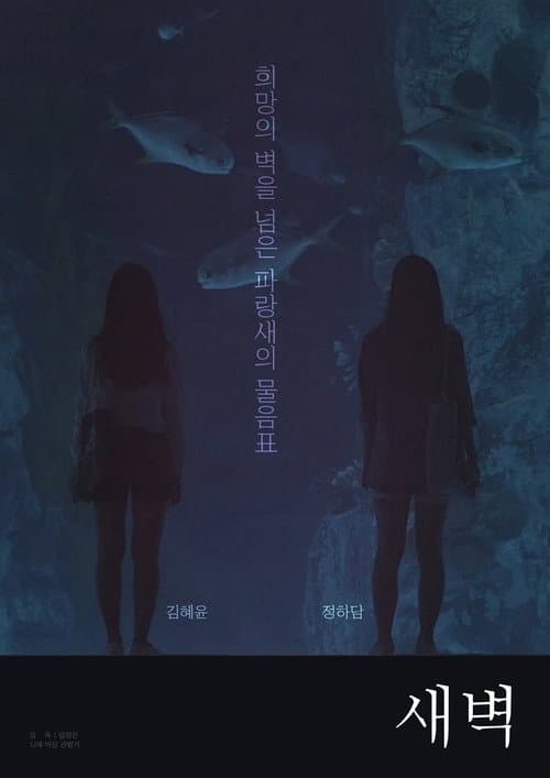 Plakat: Dawn to Dawn